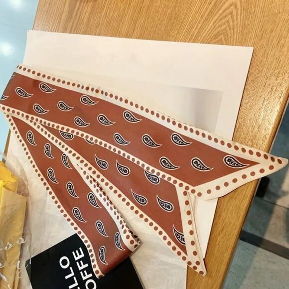 PAISLEY PRINT RIBBON SCARF - Picture 1 of 2